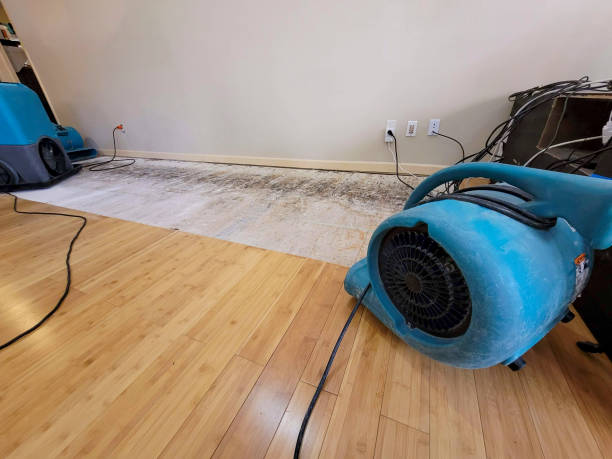 Professional Sewage Cleanup technician working in Hartsville, TN